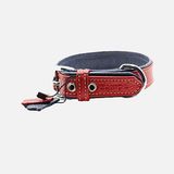 Zampa 54 cm Flotter M Köpek Boyun Tasması