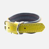 Zampa 54 cm Sarı Köpek Boyun Tasması