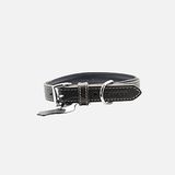 Zampa Classic 42 cm Siyah Köpek Boyun Tasması