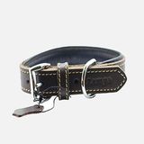 Zampa Classic 54 cm Kahverengi Köpek Boyun Tasması
