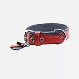 Zampa Flotter M Köpek Boyun Tasması 54 cm (2'li Paket)