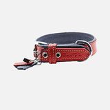 Zampa Flotter M Köpek Boyun Tasması 54 cm (4'li Paket)