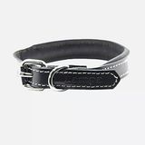 Zampa Köpek Boyun Tasması Siyah 54 cm (3'li Paket)