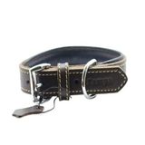 Zampa Tribeca 3x54 cm Yumuşak Dokulu Gerçek Deri Köpek Tasması