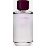 Zara Gardenia Eau De Parfum 180 Ml (6,0) ( CNK )