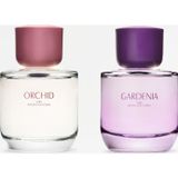 Zara Gardenia Edp 90 Ml Orchıd Edp 90 Ml (3.0 Fl. Oz) Kadın Parfüm ( CNK )