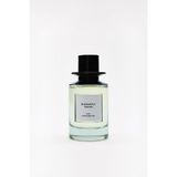 Zara Olfactive N06 Elegantly Tokyo EDP 100 ml Kadın Parfümü