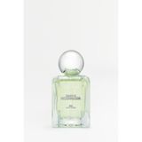Zara Shades Of Nostalgia EDP 100 ml Kadın Parfümü