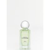 Zara Shades Of Nostalgia EDP 50 ml Kadın Parfümü