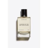Zara Sunrise On The Red Sand Dunes EDP 100 ml Erkek Parfüm