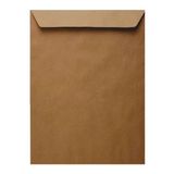 Zarfsan 125 gr 26x35 cm 25'li Çaycuma Torba Zarf