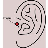 Zarif Kadın için Silver Çelik Zirkonlu Toplu İğne Tragus Piercing