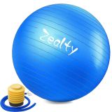zeatly Yoga topu egzersiz topu - kaymaz ve patlama önleyici egzersiz topu, hızlı pompalı, denge topu sandalye, denge topu sandalye, hamilelik ve fizik tedavi