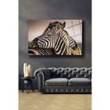 Zebra Cam Tablo