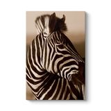 Zebra Duvar Kanvas Tablosu 100 x 140