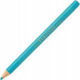 Zebra Penciltic Jel Kalem 0.4 mm Açık Mavi