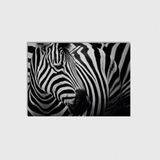 Zebra Tablo Çerçeveli Poster Duvar Dekorasyonu - 21 x 30 - Çerçevesiz Poster