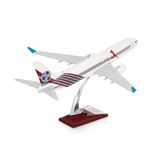 Zek Upp ZekUpp - Maket Uçak Boeing 737-800 1/100 - BORDO MAVİ TARAFTAR, Özel Tasarım Model Uçak (ZU-UCK0077)