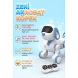 Zeki Köpek Akrobat Robot Köpek Uzaktan Kumandalı Sesli Ve Işıklı Etkileşimli Yavru Robot Köpek