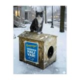 zekimöble Kedi yuvası Yağmura Ve Soğuğa Dayanıklı Osb Kedi Evi Yuvası (DENİZ TUTKALLI)monte Edilmiş Teslimat
