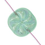 Zemira 12 Volt 3 Watt Yeşil Sabit 6565-2835 Modül LED