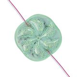 Zemira 12 Volt 3 Watt Yeşil Yanıp Sönen 6565-2835 Modül LED