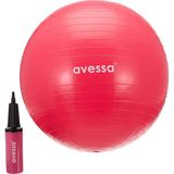 Zemira Avessa 55 cm Pilates Topu - 0 - 1 Ay