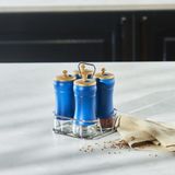 Zemira Berry 5 Parça Cam Baharat Takımı - 001 - Beyaz - 0,5 ml