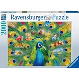 Zemira Ravensburger 2000 Parça Tavus Kuşu Puzzle