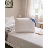 Zemira Uykucu Series Pamuk Beyaz Visco Yastık 60X40/14 cm (Pillow) - 001-Renkli - 1 x 32 x 27 cm