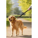 Zen Dog ZenLeash Klasik Deri Köpek Tasması ve Gezdirme Kayışı - Dayanıklı Dokuma ve Deri Kayış, Metal Klipsli Deri Köpek Tasması - Siyah - Kırmızı