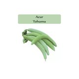 Zencefil Organik 10 gr 300 Adet Acur Tohumu