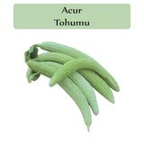 Zencefil Organik 10 gr 300 Adet Acur Tohumu