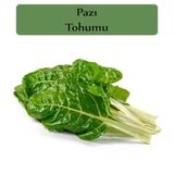 Zencefil Organik 10x1000 Adet Pazı Tohumu