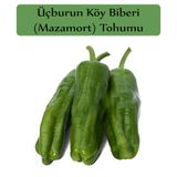 Zencefil Organik 10x1000 Adet Üç Burun Biber Tohumu