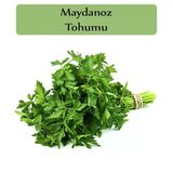 Zencefil Organik 10x5000 Adet Maydanoz Tohumu