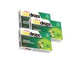 Zencefil Organik 3 Kutu Balen Okaliptüs Mentol Ve Nane Aromalı Pastil Bitkisel Drops 24 Adet X 3 Menthol Okaliptus
