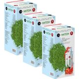Zencefil Organik 3 Kutu Matcha Japanese Toz Maça Çayı 20 x 10 gr