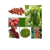 Zencefil Organik 6 Paket Tohum No20 Kıska Iska 1 Kg. Arpacık Soğan Salatalık Domates Marul Cherry Domates Tohumu