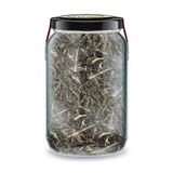 Zencefil Organik 660 gr Beyaz Çay