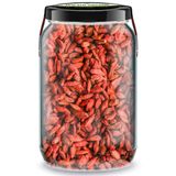 Zencefil Organik 660 gr Goji Berry