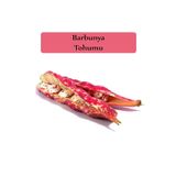 Zencefil Organik Barbunya Tohumu 1 Paket (10Gr=10+ Adet) Barbunya Fasulyesi Tohumu