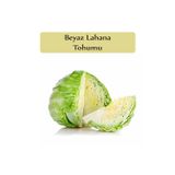 Zencefil Organik Beyaz Lahana Tohumu 1 Paket Lahana Tohumu Yalova 1 Kapalı Paket Tohum Ekmek Için Verimli Bitki Tohum