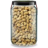 Zencefil Organik Cam Kavanozda Katkısız Dut Kurusu 660 cc Pure Dried White Mulberry - 1 Adet