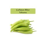 Zencefil Organik Çarliston Biber Tohumu 1 Paket (10Gr=1000+ Adet) Yalova Çarliston Biberi Tohumu