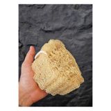 Zencefil Organik Doğal Kabak Lifi Bulaşık Süngeri Banyo Kesesi Loofah Sponge İpli Kabak Kesesi Kalın Büyük Parça