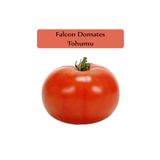 Zencefil Organik Domates Tohumu 1 Paket Iri Etli Domates Domates Tohumu Kapalı Paket Yüksek Verimli Tohum Falcon