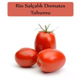 Zencefil Organik Domates Tohumu Rio Grande 1 Paket (5Gr=1000+ Adet) Rio Grande Domates Tohumu