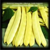 Zencefil Organik Fasülye Tohumu 100 gr (350+ Adet) Erva 51 Sarı Özel Fasulye Tohum - Çok Renkli