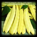 Zencefil Organik Fasülye Tohumu 100 gr (350+ Adet) Erva 51 Sarı Özel Fasulye Tohum